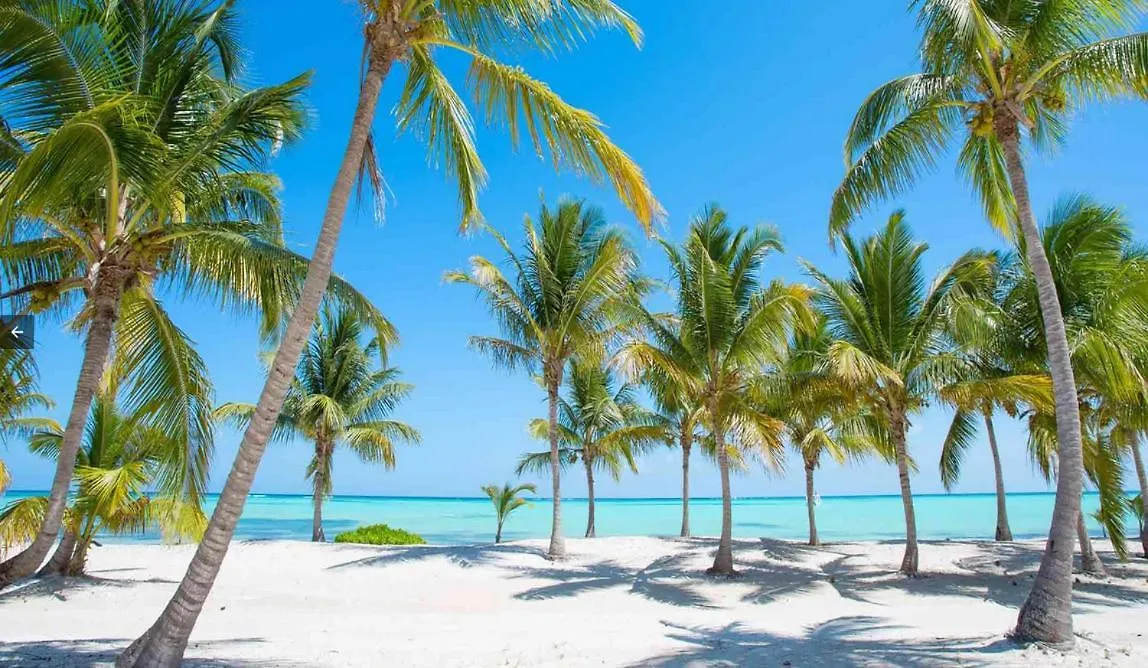 Coral Suites Beach And Spa Playa Los Corales Punta Cana Apartmán